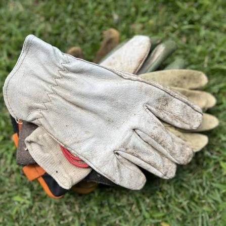Garden Gloves